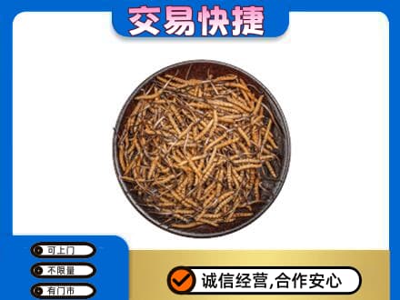 兴安高价回收散虫草